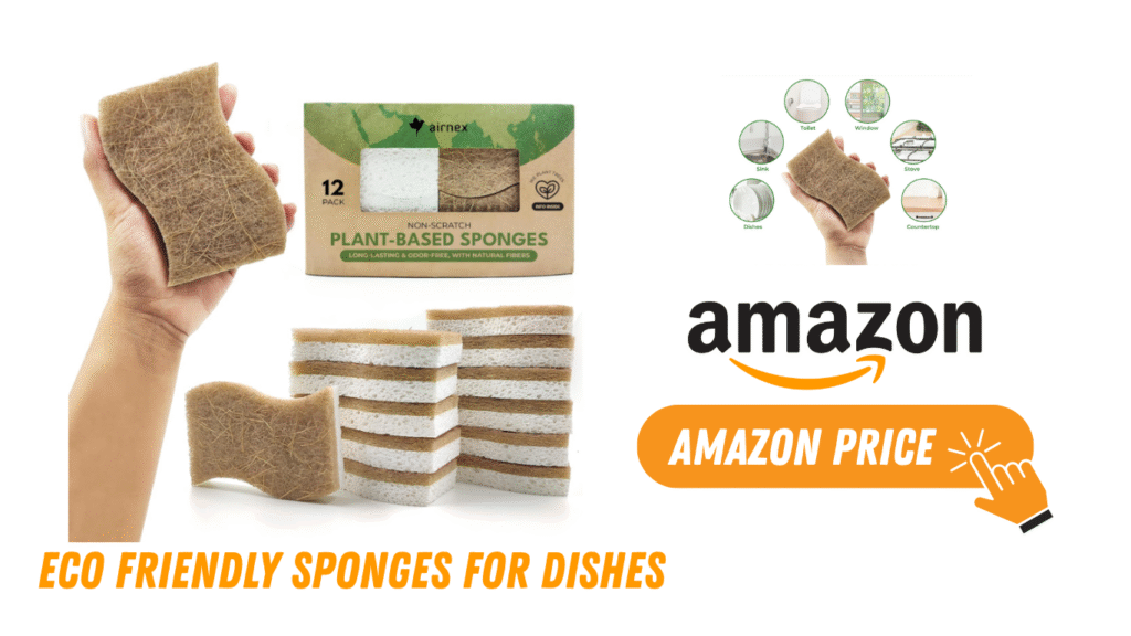 Eco Friendly Sponges for Dishes Amazon Price