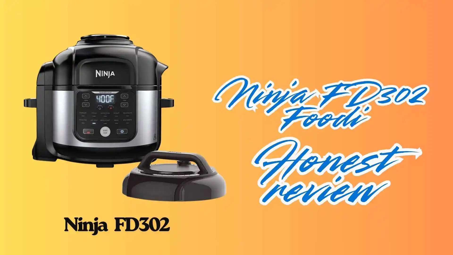 Ninja FD302 Review