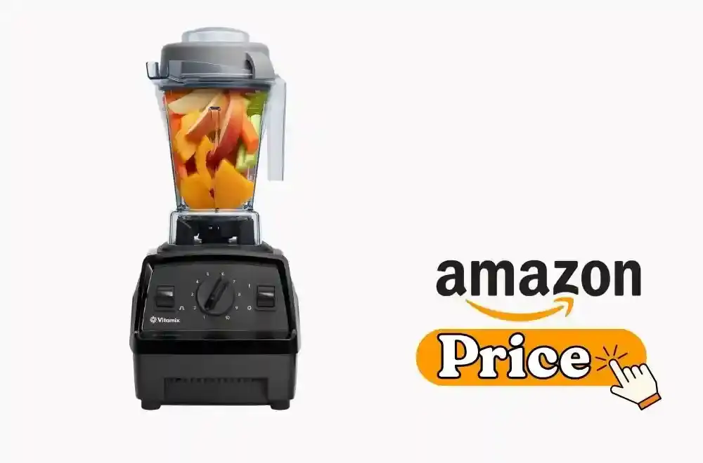 Vitamix E310 Blender Review