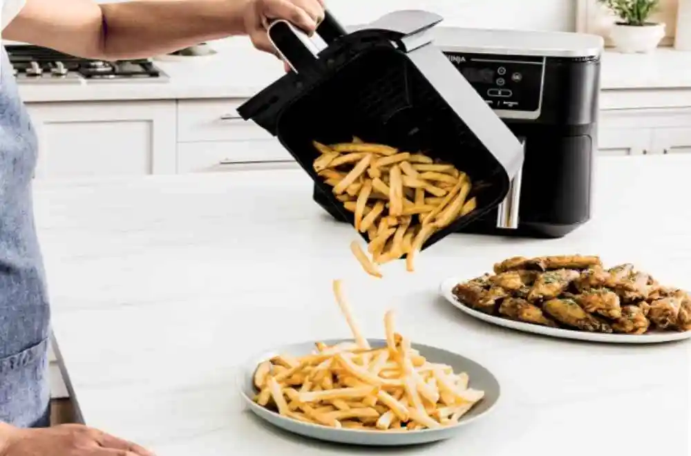 Ninja DZ550 Foodi 10 Quart 6-in-1