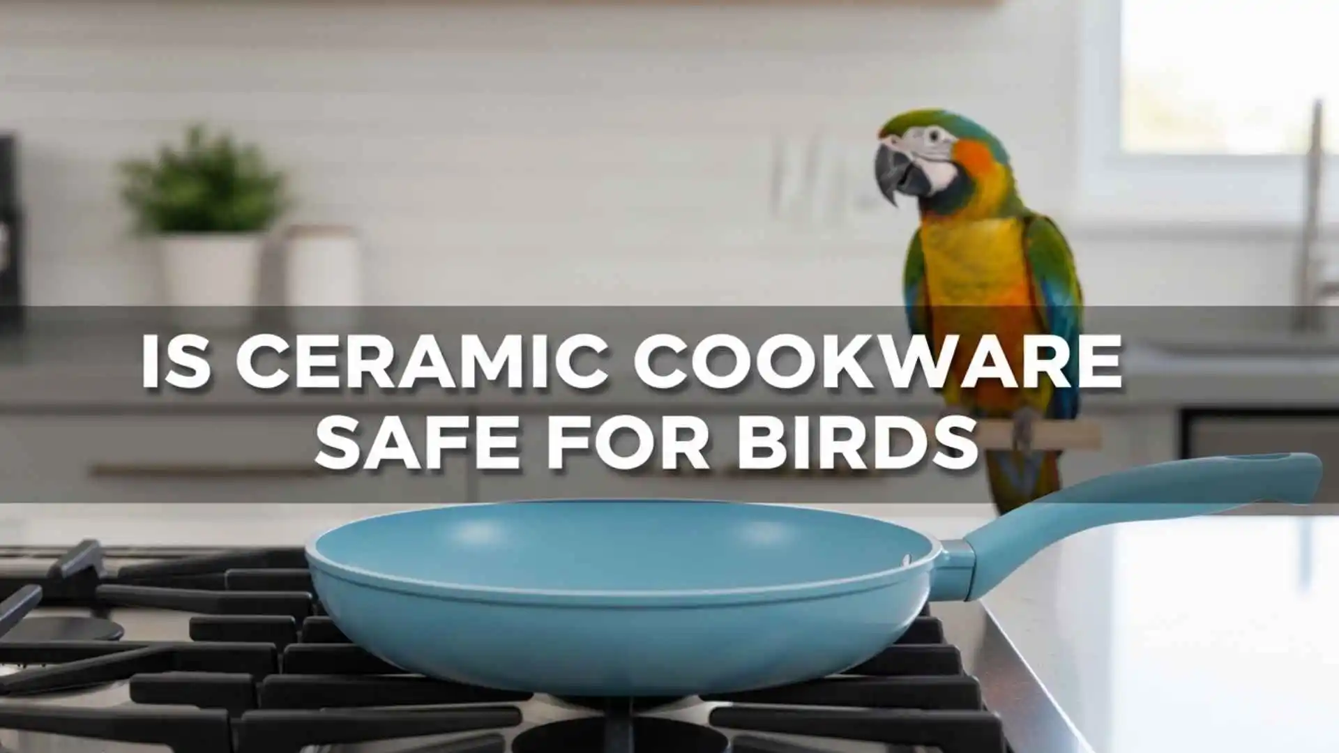 Is Ceramic Cookware Safe for Birds