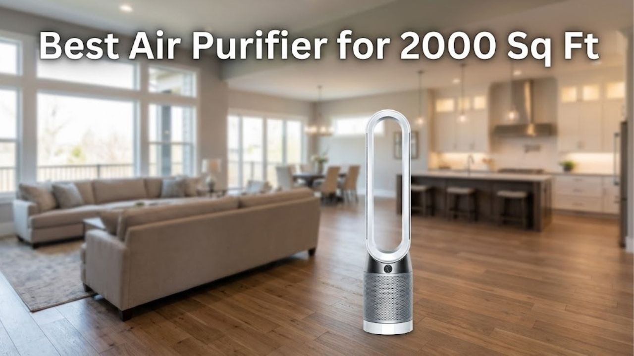 best air purifier for 2000 sq ft