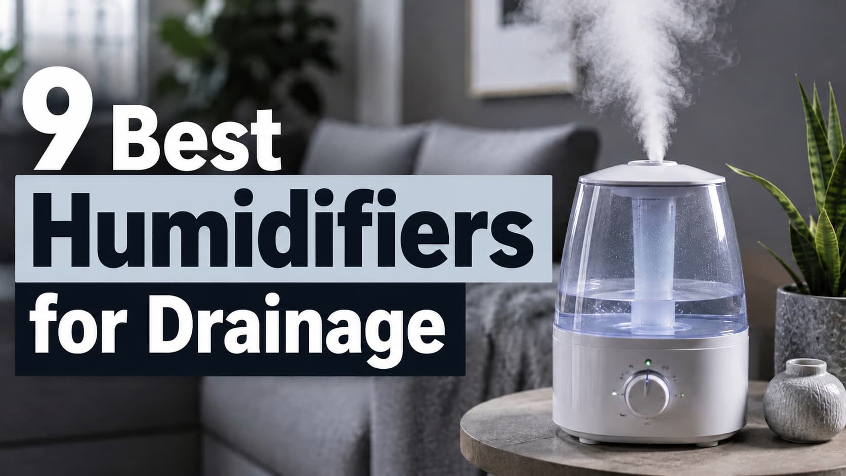 9 Best Humidifiers for Drainage