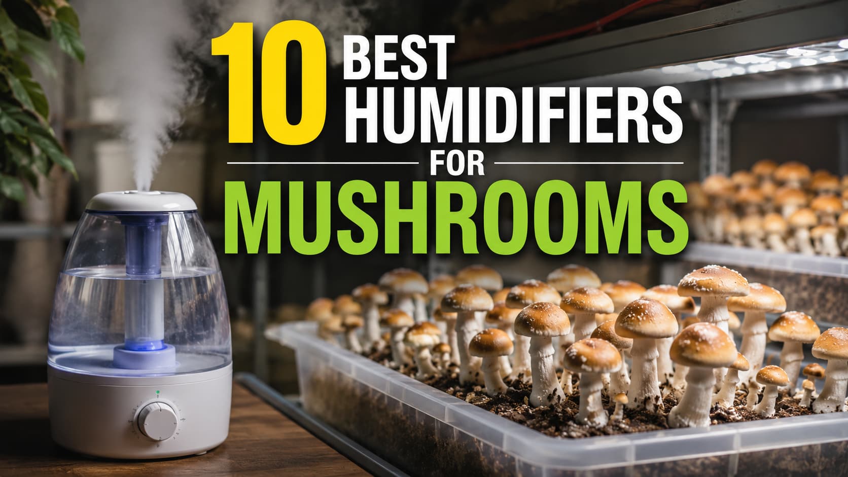 10 Best Humidifiers for Mushroom Cultivation (2026) - What Actually Worked for Me