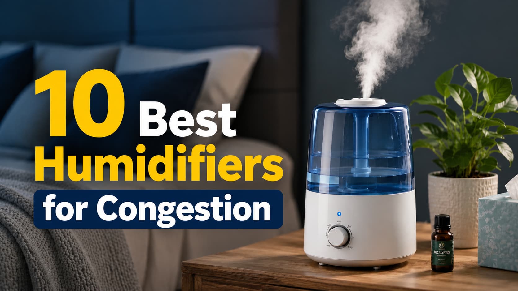 10 Best Humidifiers for Home