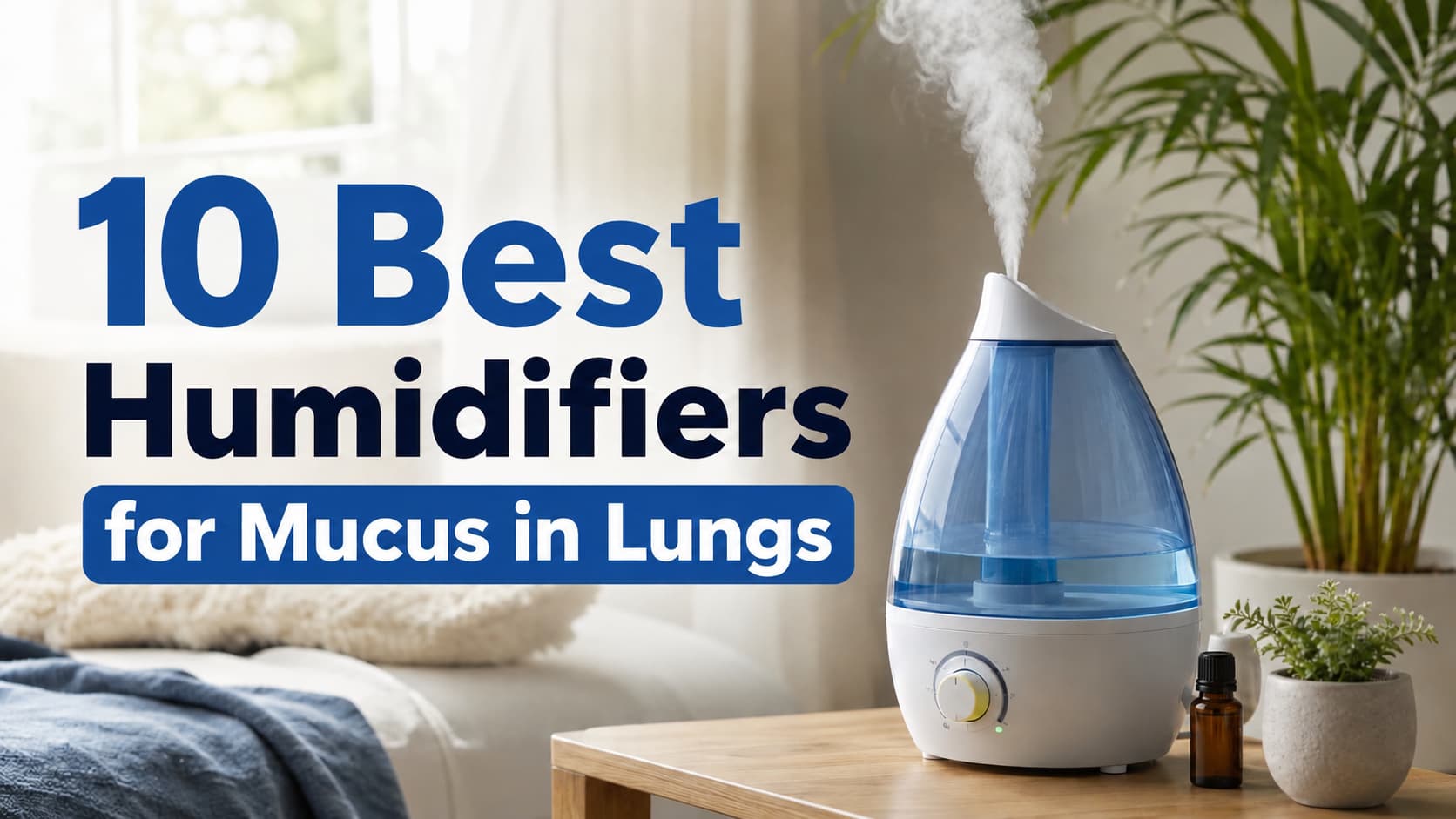 12 Best Humidifiers for Mucus in Lungs