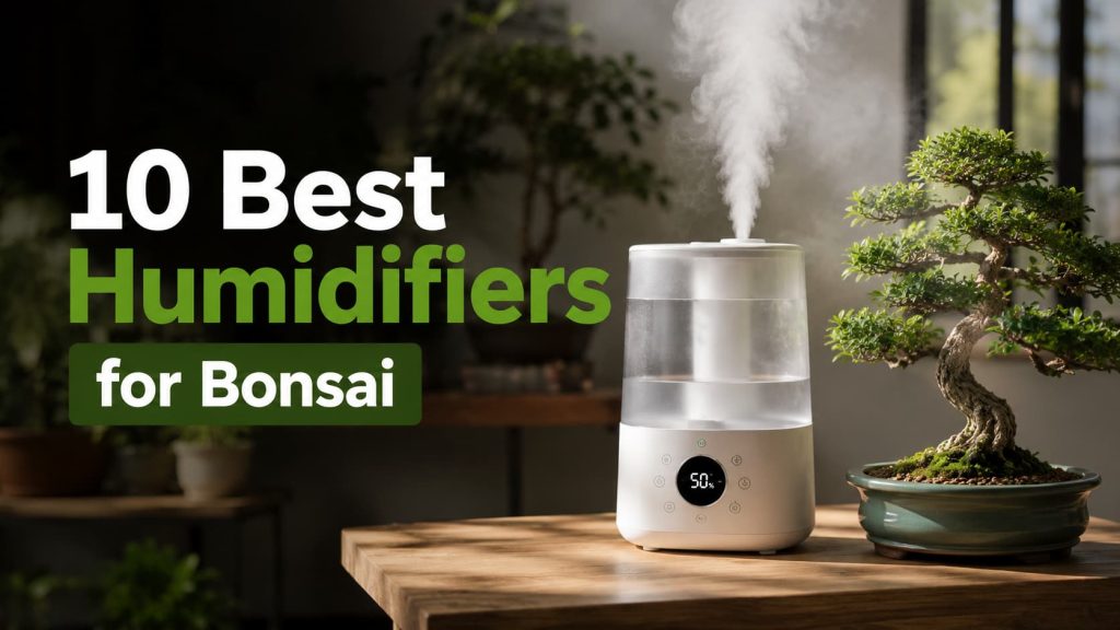 10 Best Humidifiers for Bonsai