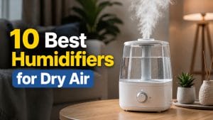 10 Best Humidifiers for Dry Air