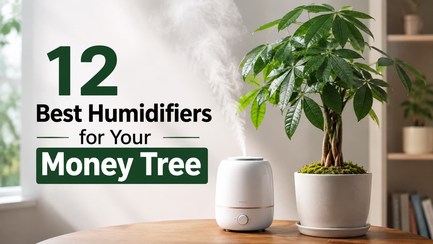 12 Best Humidifiers for Your Money Tree