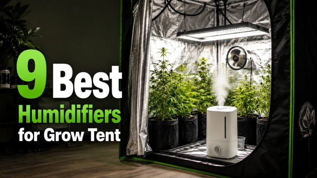 9 Best Humidifiers for Grow Tent