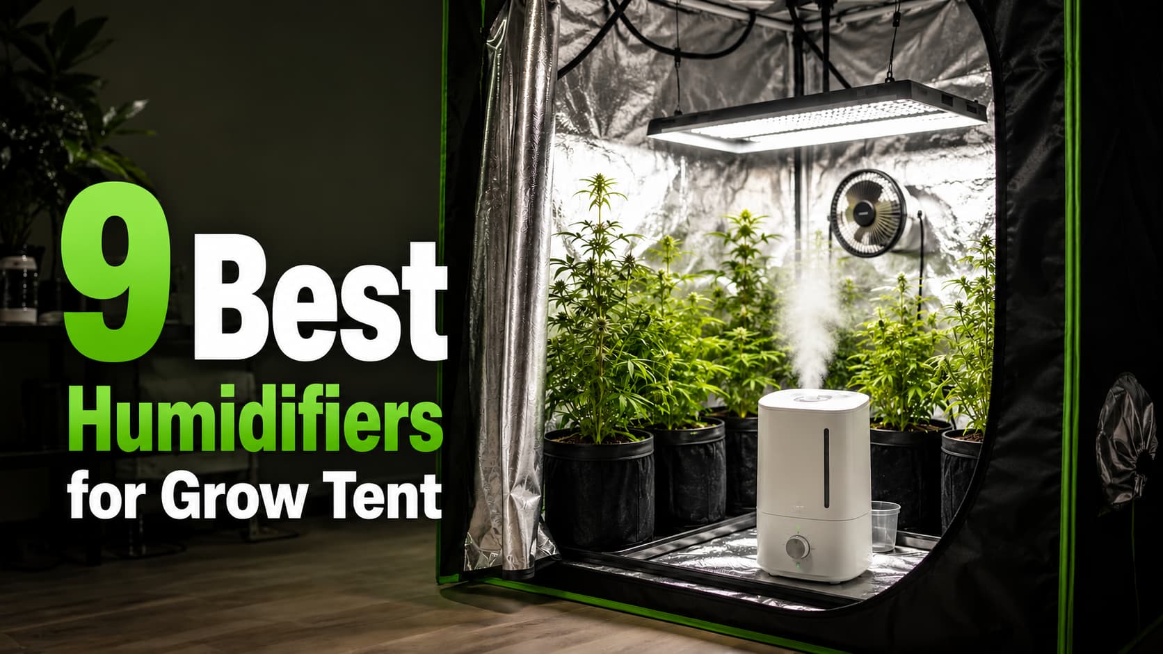 9 Best Humidifiers for Grow Tent