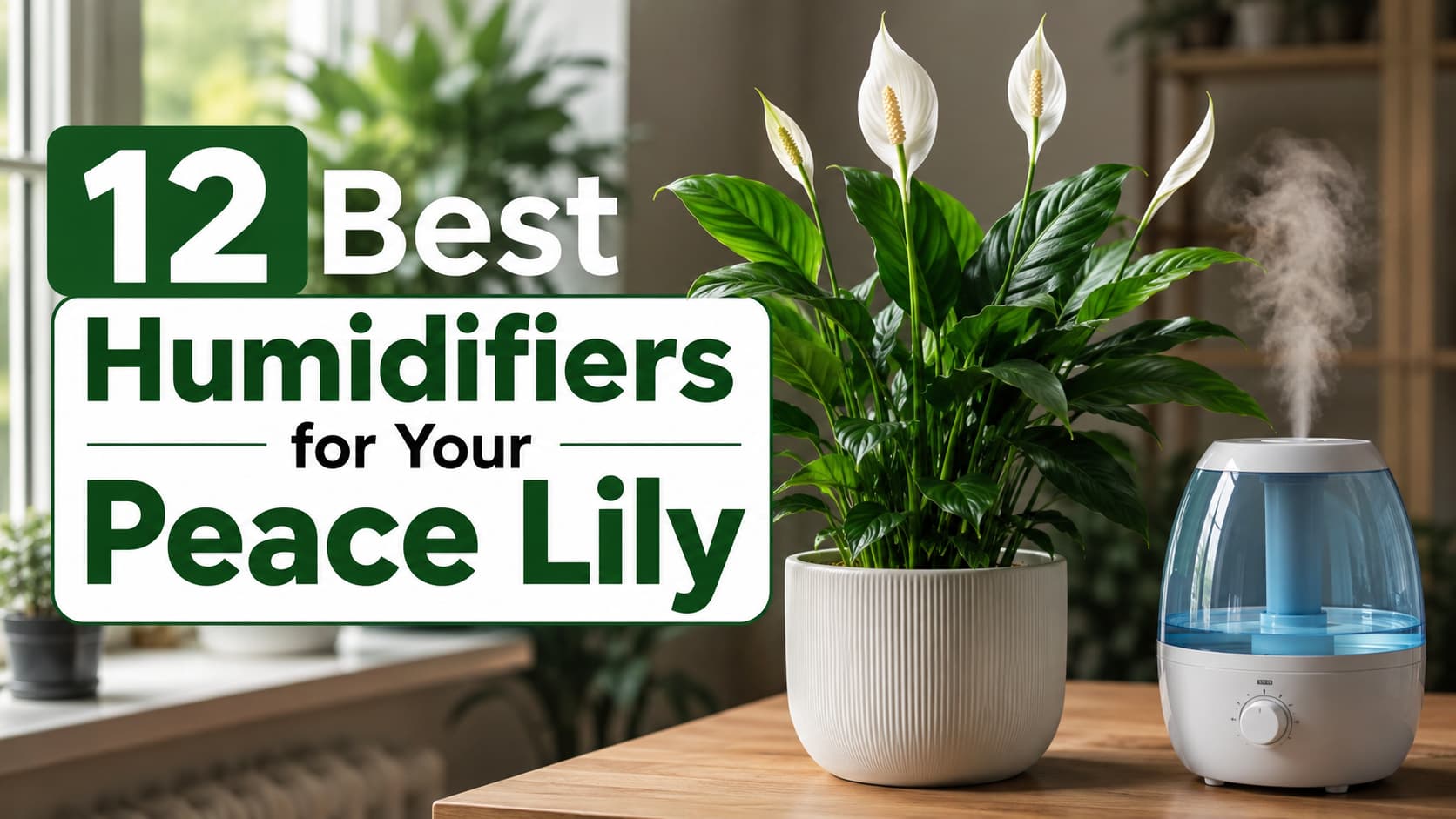 12 Best Humidifiers for Your Peace Lily