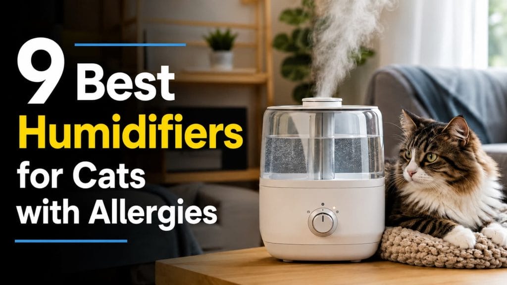 9 Best Humidifiers for Cats with Allergies