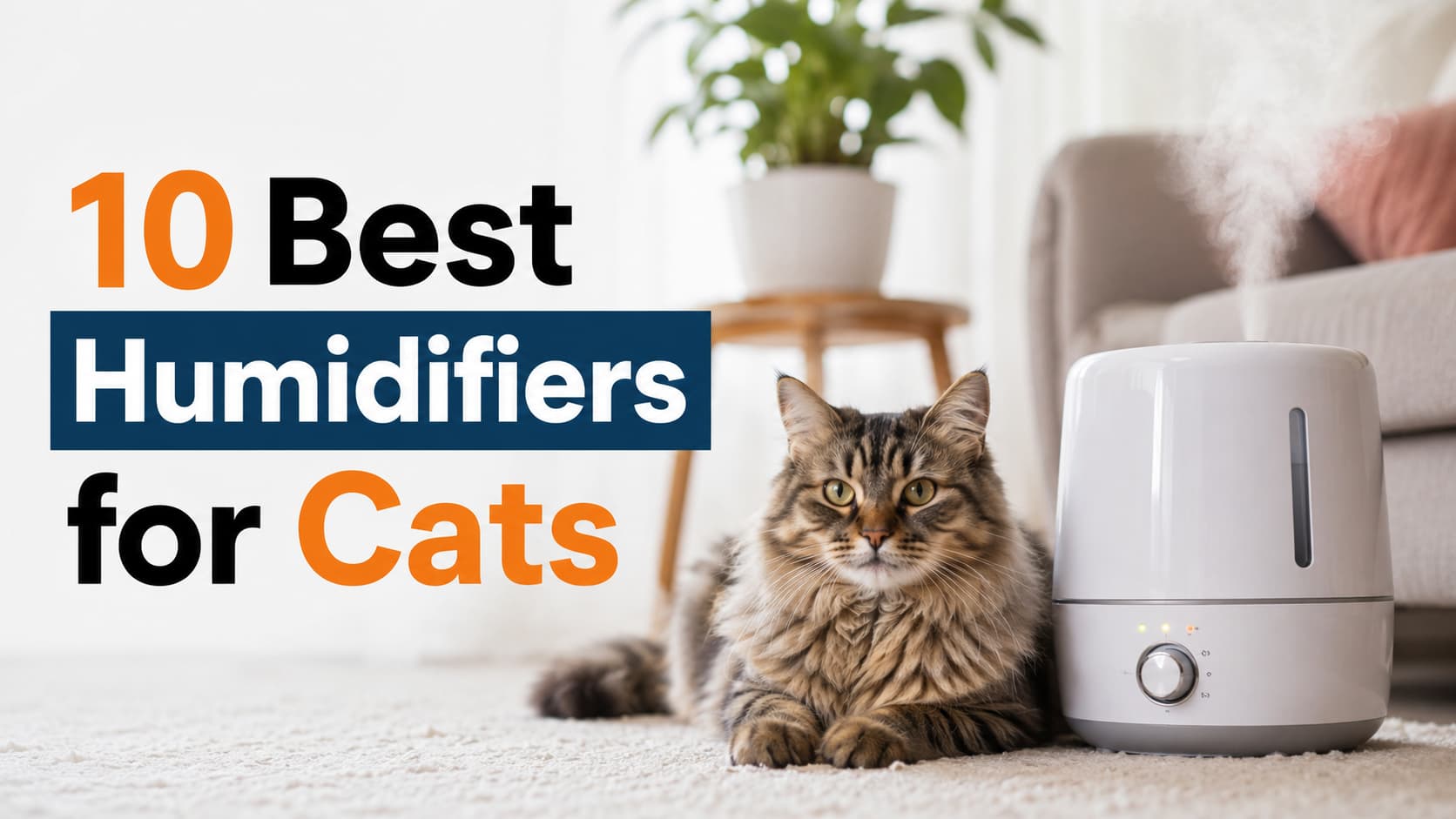 10 Best Humidifiers for Cats
