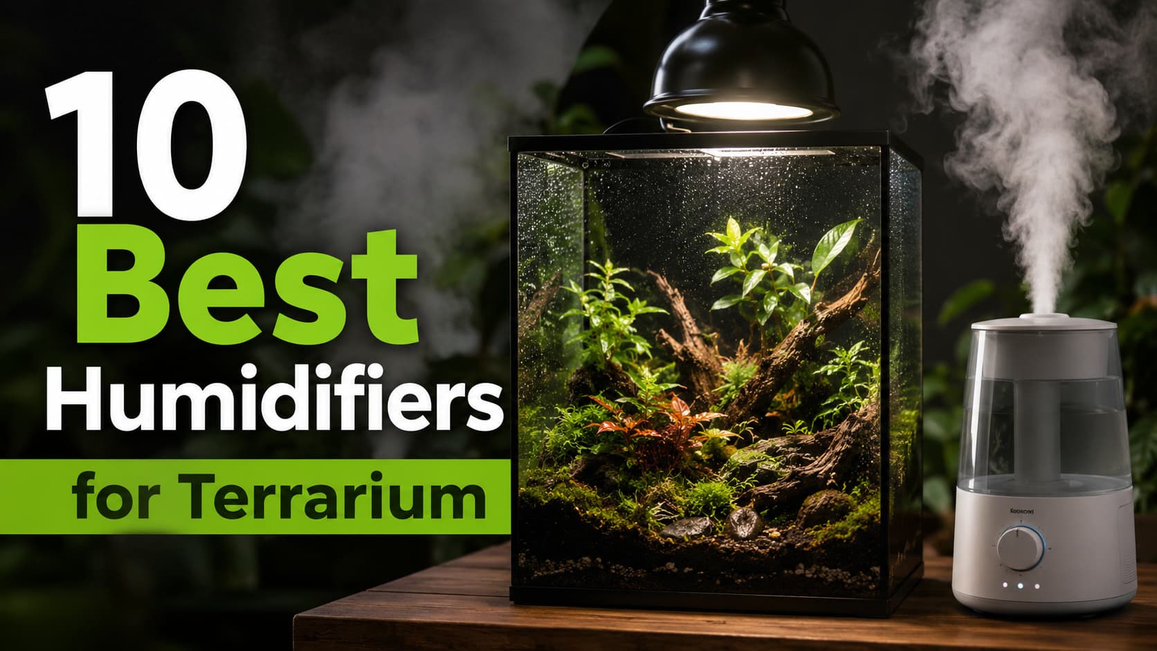 10 Best Humidifiers for Terrarium