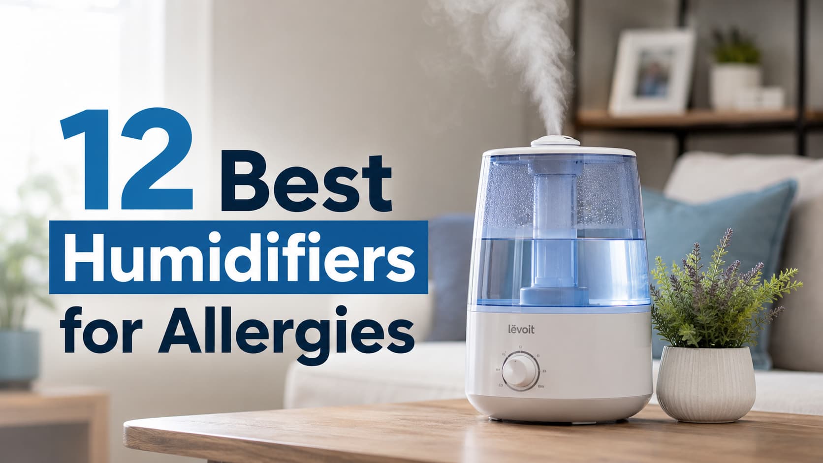 12 Best Humidifiers for Allergies