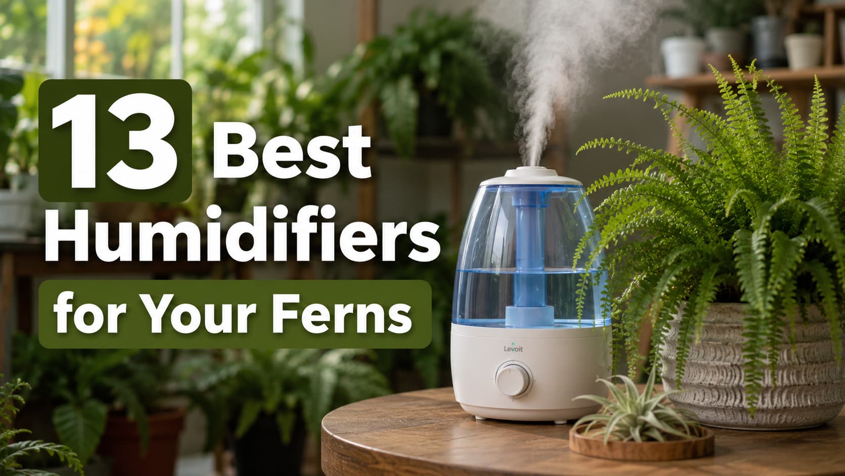 13 Best Humidifiers for Your Ferns (Plant Care Guide
