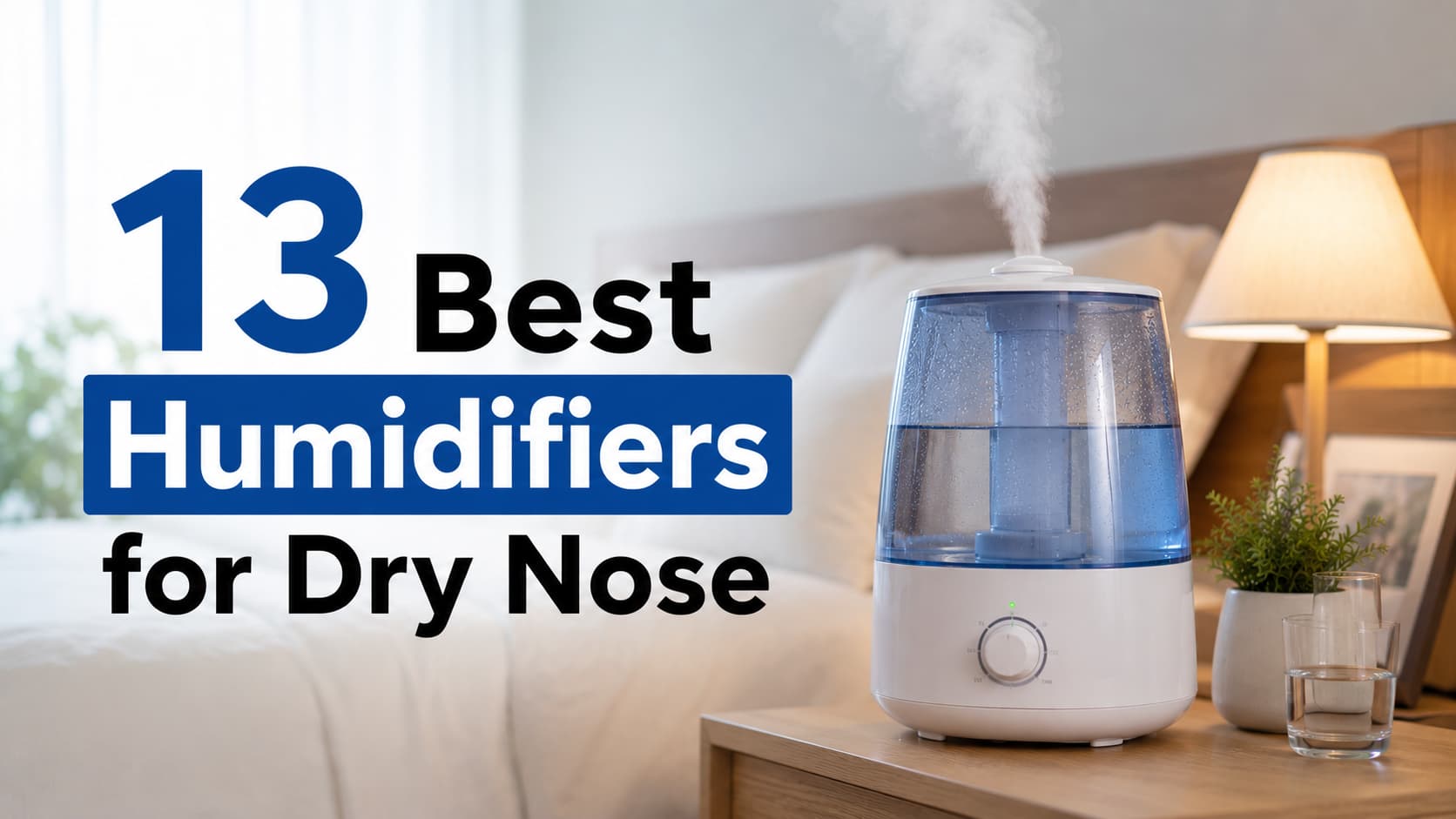 13 Best Humidifiers for Dry Nose
