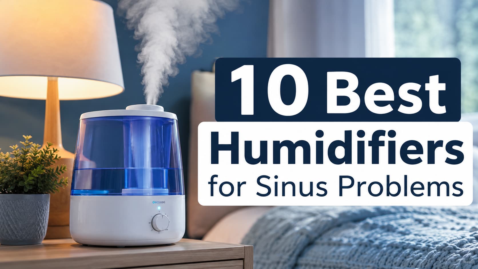 10 Best Humidifiers for Sinus Problems