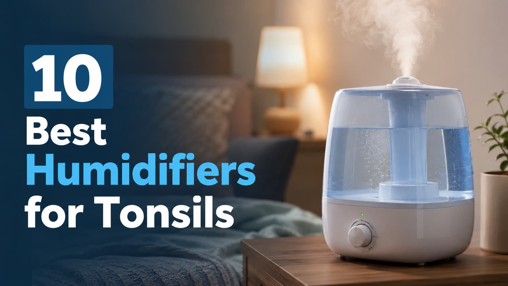 10 Best Humidifiers for Tonsils