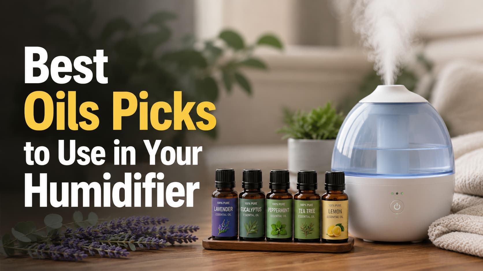 Best Oils Picks to Use in Your Humidifier