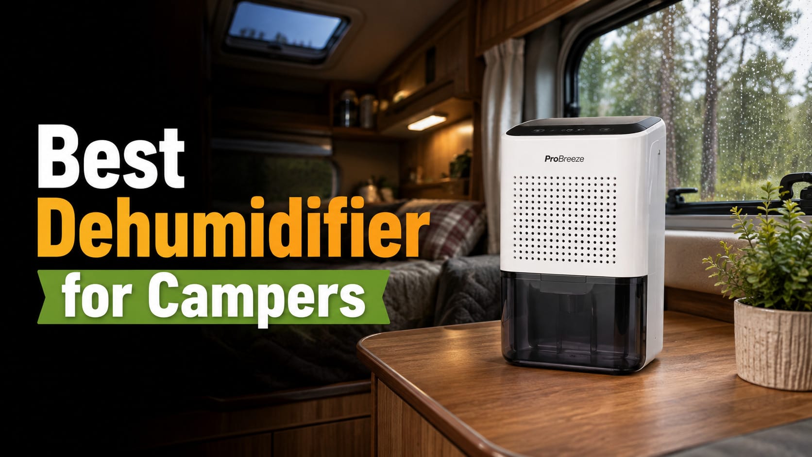 Best Dehumidifier for Campers