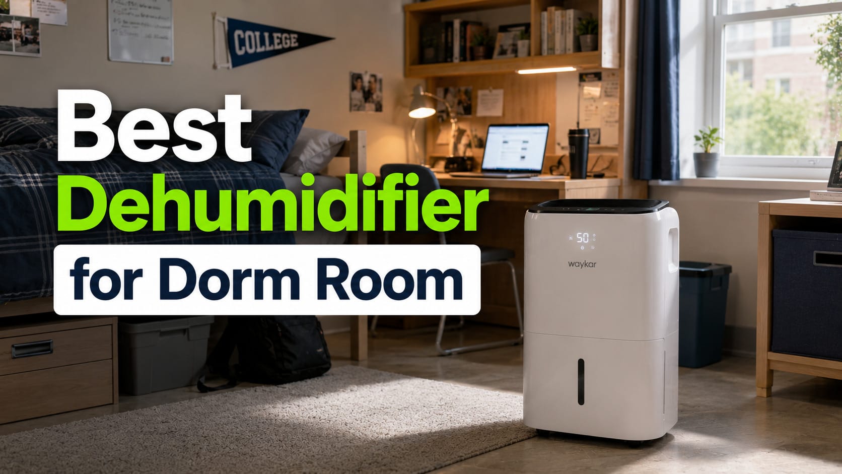 Best Dehumidifier for Dorm Room