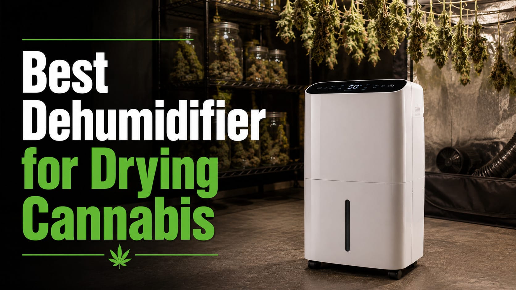 Best Dehumidifier for Drying Cannabis