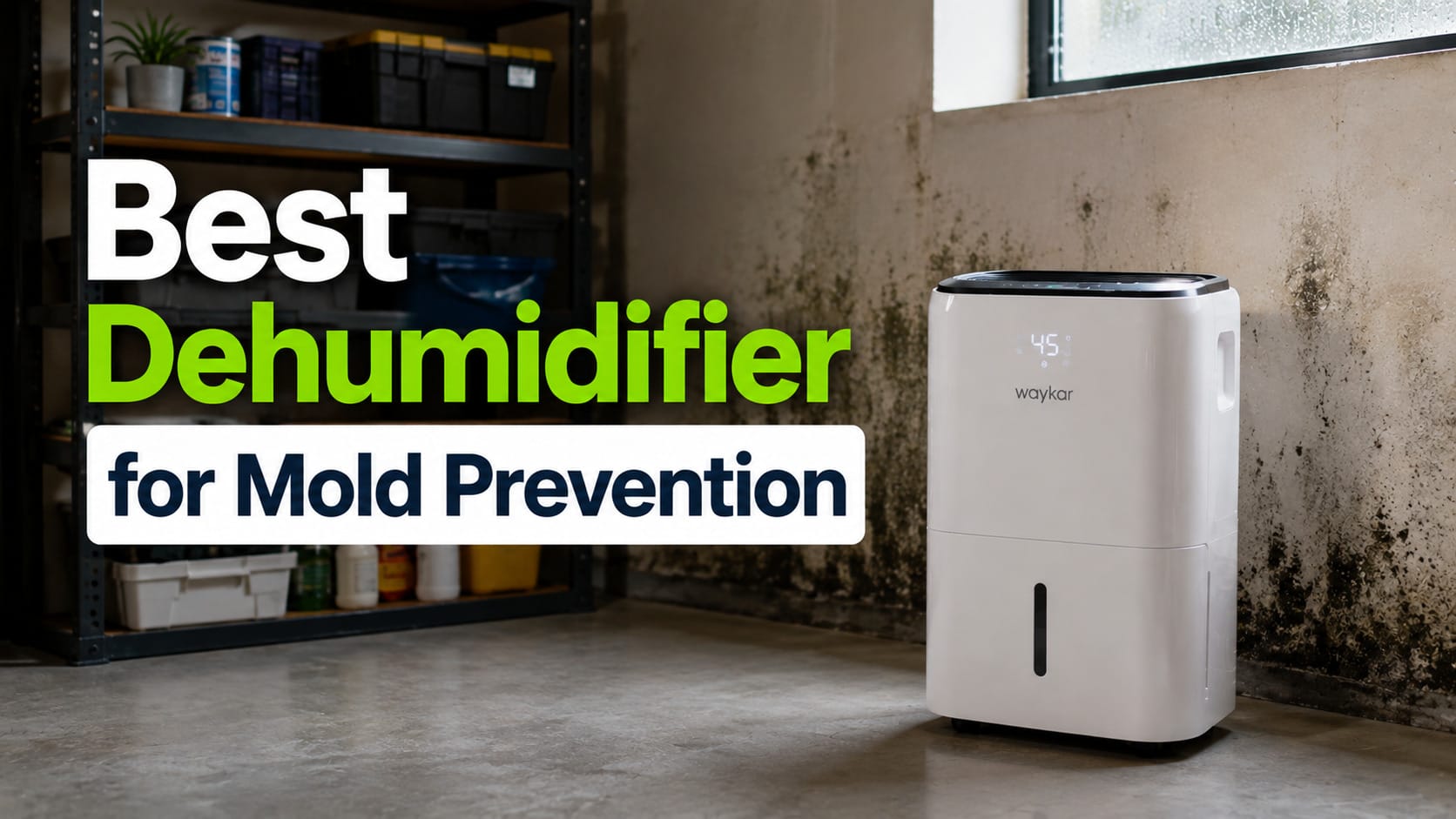 Best Dehumidifier for Mold Prevention