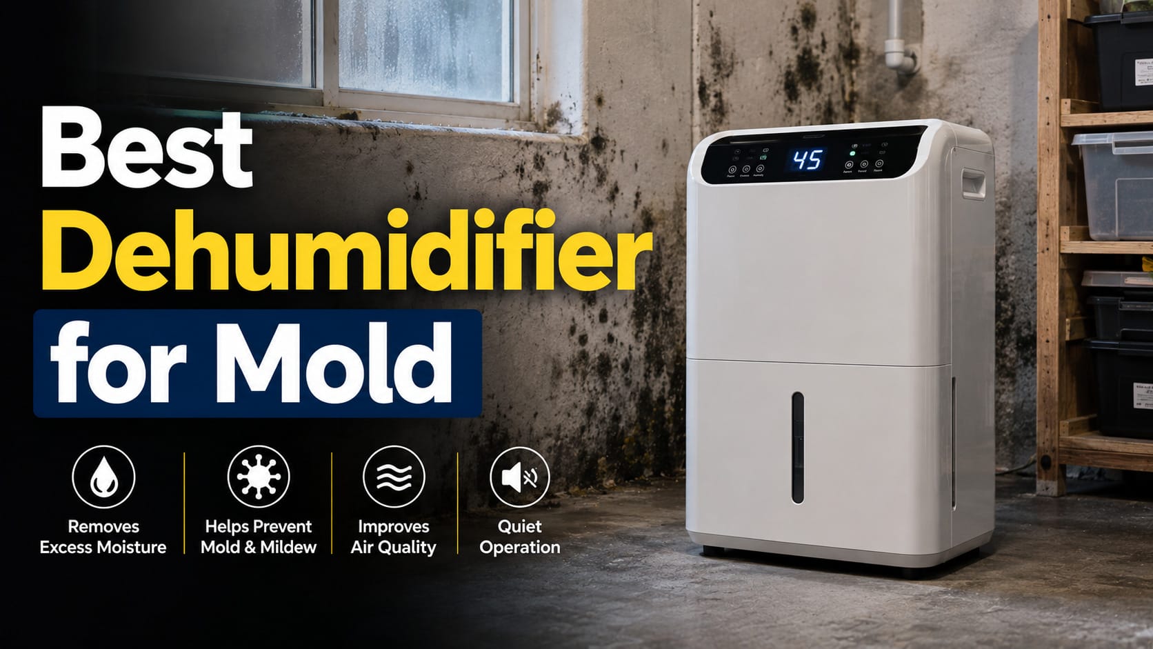 best dehumidifier for mold