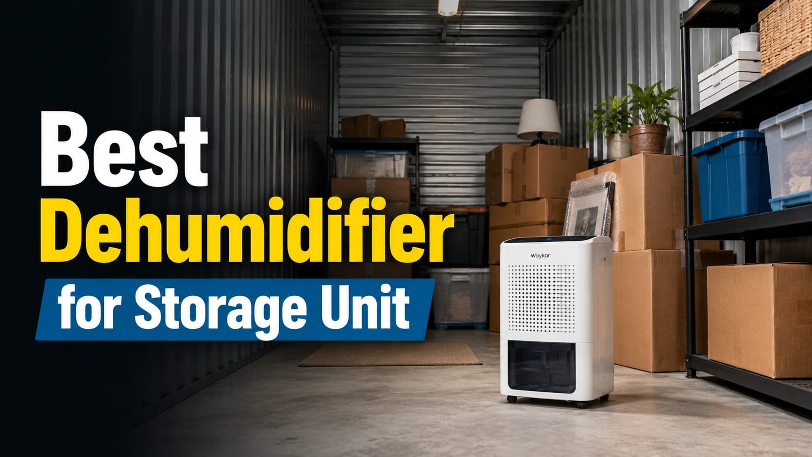 Best Dehumidifier for Storage Unit