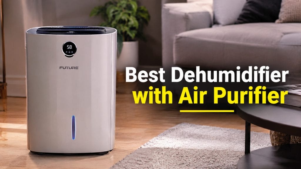 Best Dehumidifier With Air Purifier