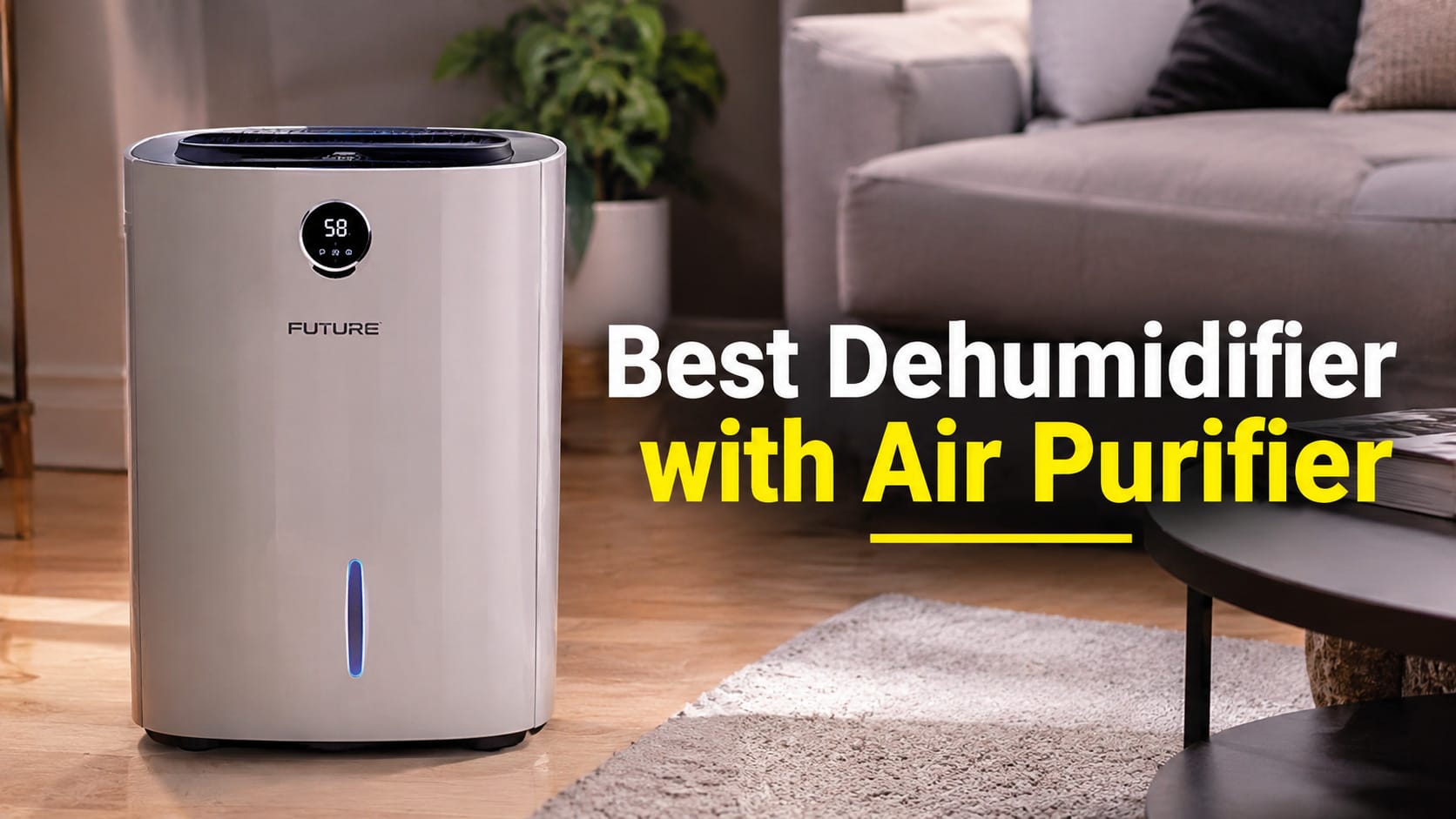 Best Dehumidifier With Air Purifier